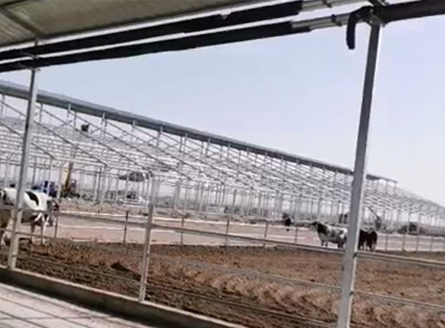 1622097388681477.jpg 牛棚拖链.jpg